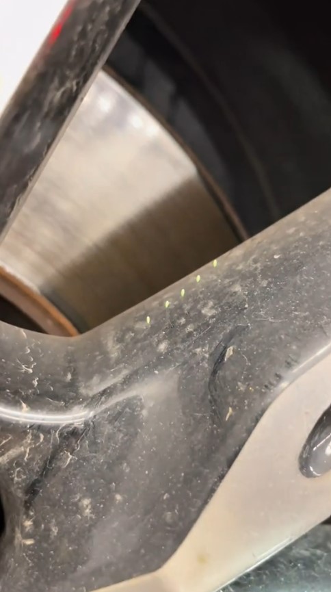 CARN'T BELIEVE IT Mechanic working on a customer's car notices something unusual creeping from the rims - 'never seen anything like this'