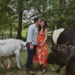 Pregnant woman in orange dress being kissed by a man, with cattle nearby.