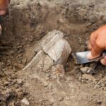 archaeological-excavation-mummified-creature