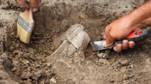 archaeological-excavation-mummified-creature