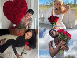 Stars With Red Roses