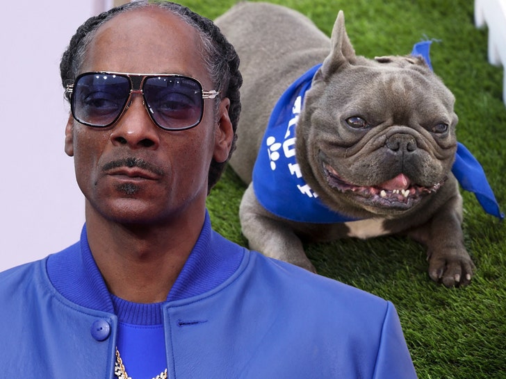 snoop dogg and dog insta getty 1