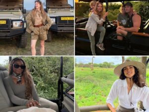 Stars On Safaris