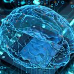 Artificial intelligence brain