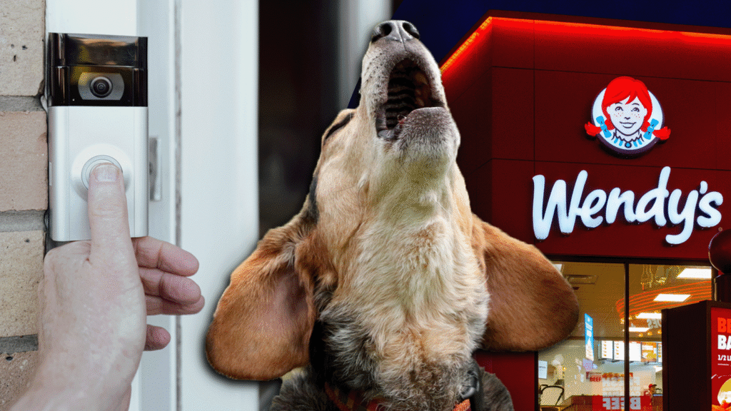 dog barking at Ring Doorbell from Wendy's tv spot