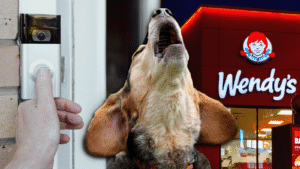 dog barking at Ring Doorbell from Wendy's tv spot