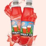 moray cup drink