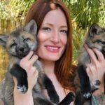 YouTube’s Save A Fox founder Mikayla Raines dies from suicide after online harassment