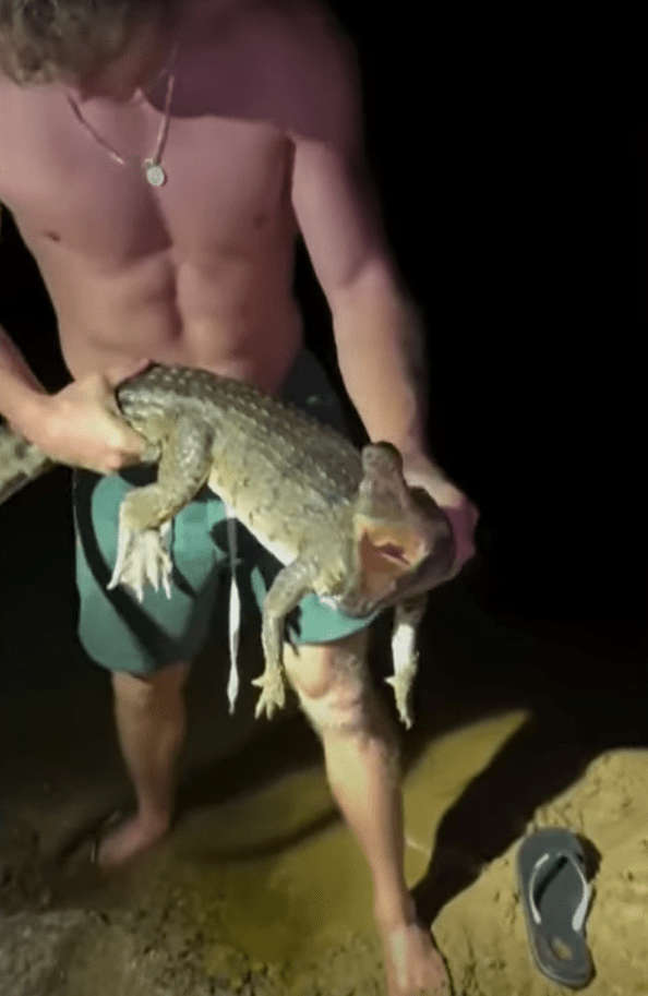 Man holding a small alligator.