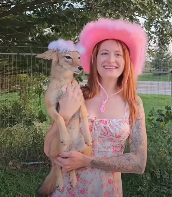 Woman in pink dress and cowboy hat holding a coyote pup wearing a hat.