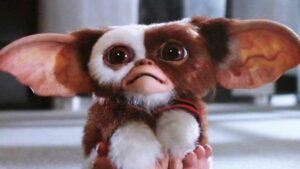 photo of gizmo from gremlins