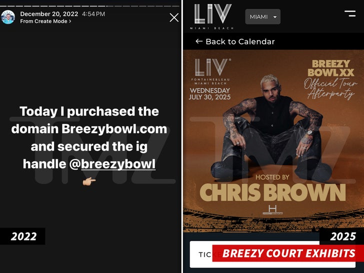 Chris Brown & Live Nation Sued by Breezy Swim Over 'Breezy Bowl XX
