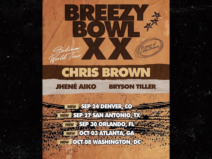 Chris Brown Breezy Bowl Tour Sub Instagram