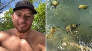 Are Austin Lakes Safe? Just Watch Out For The Snapping Turtles