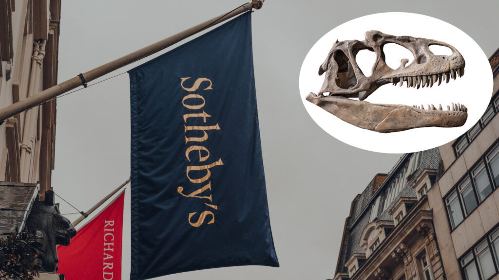 ceratsaurus skeleton on top of sotheby's auction house flag