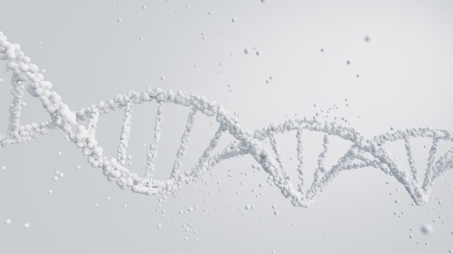 3D-illustration-of-a-DNA-double-helix