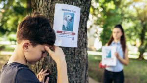 missing dog on a poster