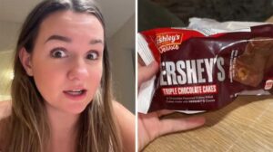 Ew, What's Up With These Hershey’s Cakes?