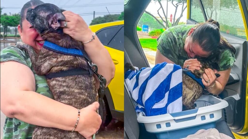 Family reunites with dog 8 years after it went missing in a hurricane