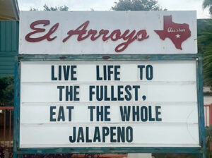 best meme live life to the fullest