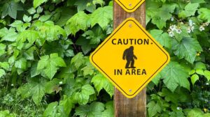 Bigfoot-Park-Sign