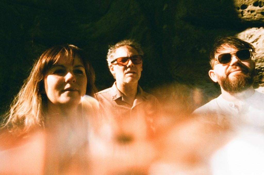 Gulp - 'Wildflower'