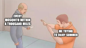 funny meme about enjoying summer