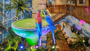 Jimmy Buffett widow