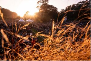 Hardly Strictly Bluegrass Shares Initial 25th Anniversary Lineup: Lucinda Williams, The String Cheese Incident, Courtney Barnett and More