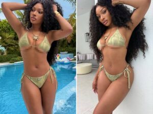 Megan Thee Stallion's Hot Shots