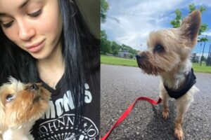 model-speaks-out-after-she-and-singer-songwriter-partner-lose-beloved-dog-and-home-in-fire-ig
