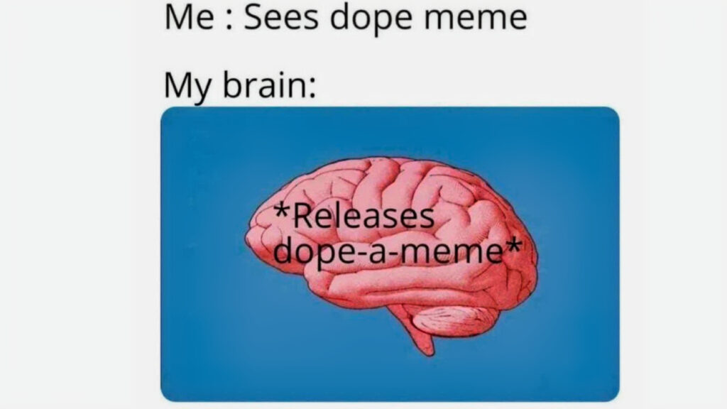 meme joke about memes