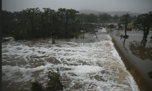 Streamer Under Fire For Joking About Dead Children In Texas