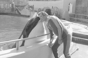 william-shatner-pleads-with-french-president-to-rescue-orcas-trapped-in-marine-park.