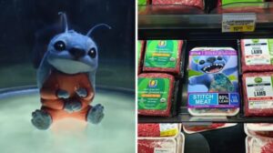 Would You Eat Stitch Meat?
