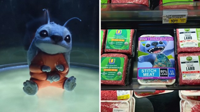 Would You Eat Stitch Meat?
