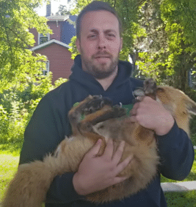Man holding a fox.