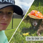 Woman explains she lost her dog(l) Small puppy laying down on grass(r)