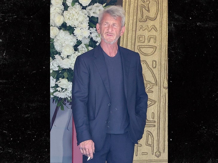 sean penn backgrid sub