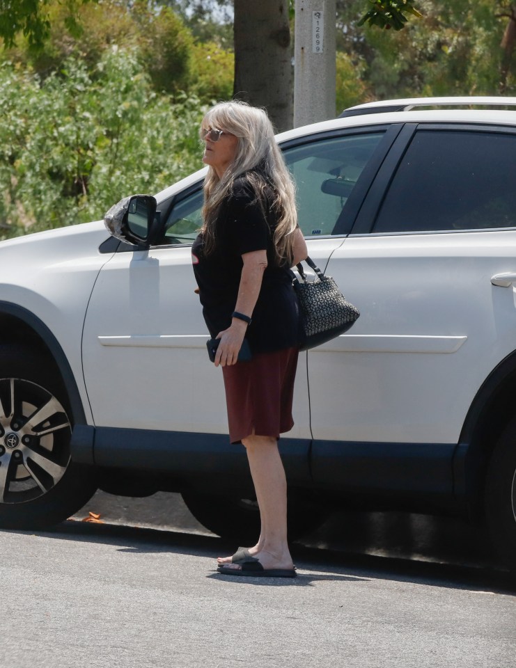 Susan Olsen, former Brady Bunch child star, retrieving mail.