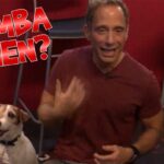 073025_memba_when_artist_dog_kal