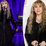Stevie Nicks postpones tour dates after shoulder fracture