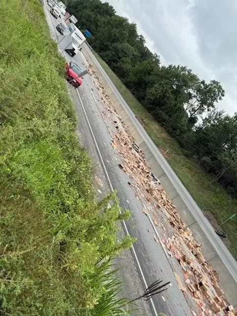 hot dogs tossed across road
