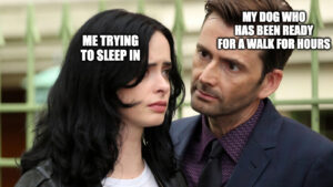 Jessica Jones meme about dogs